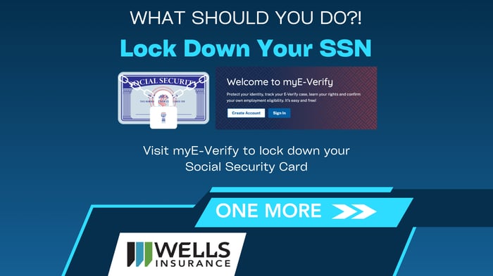 myeverify