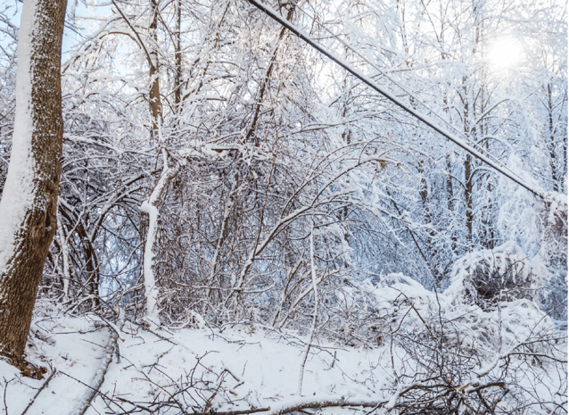 winter storm power lines