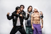 red hot chili peppers