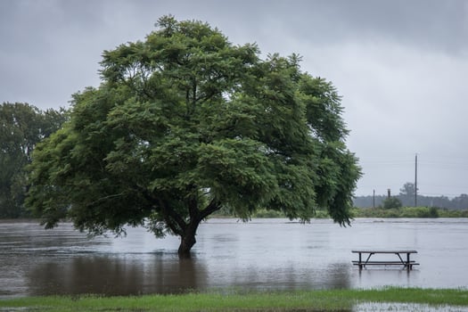 flood-waters-2023-11-27-04-53-50-utc