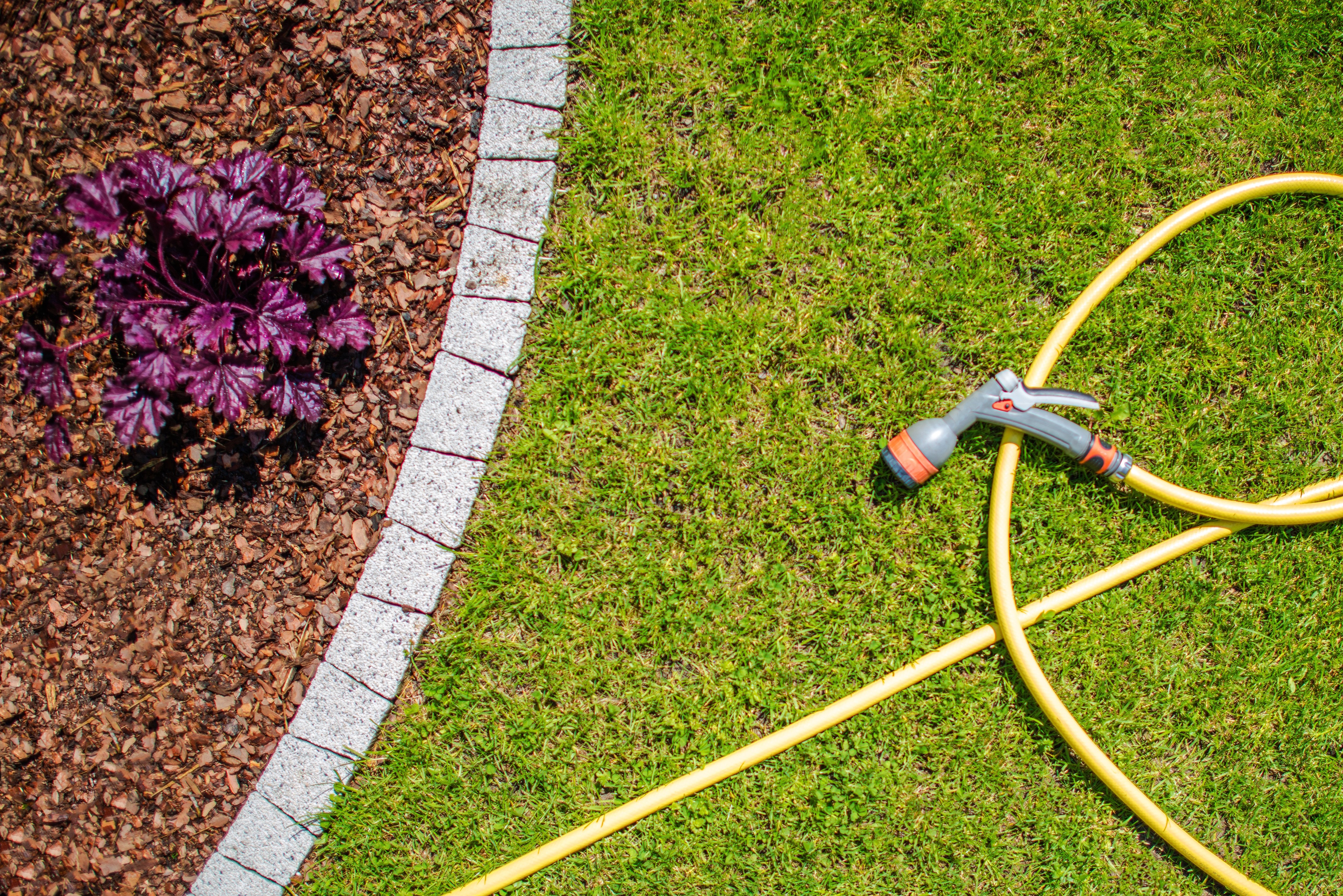 garden-water-hose-2022-12-16-11-40-52-utc