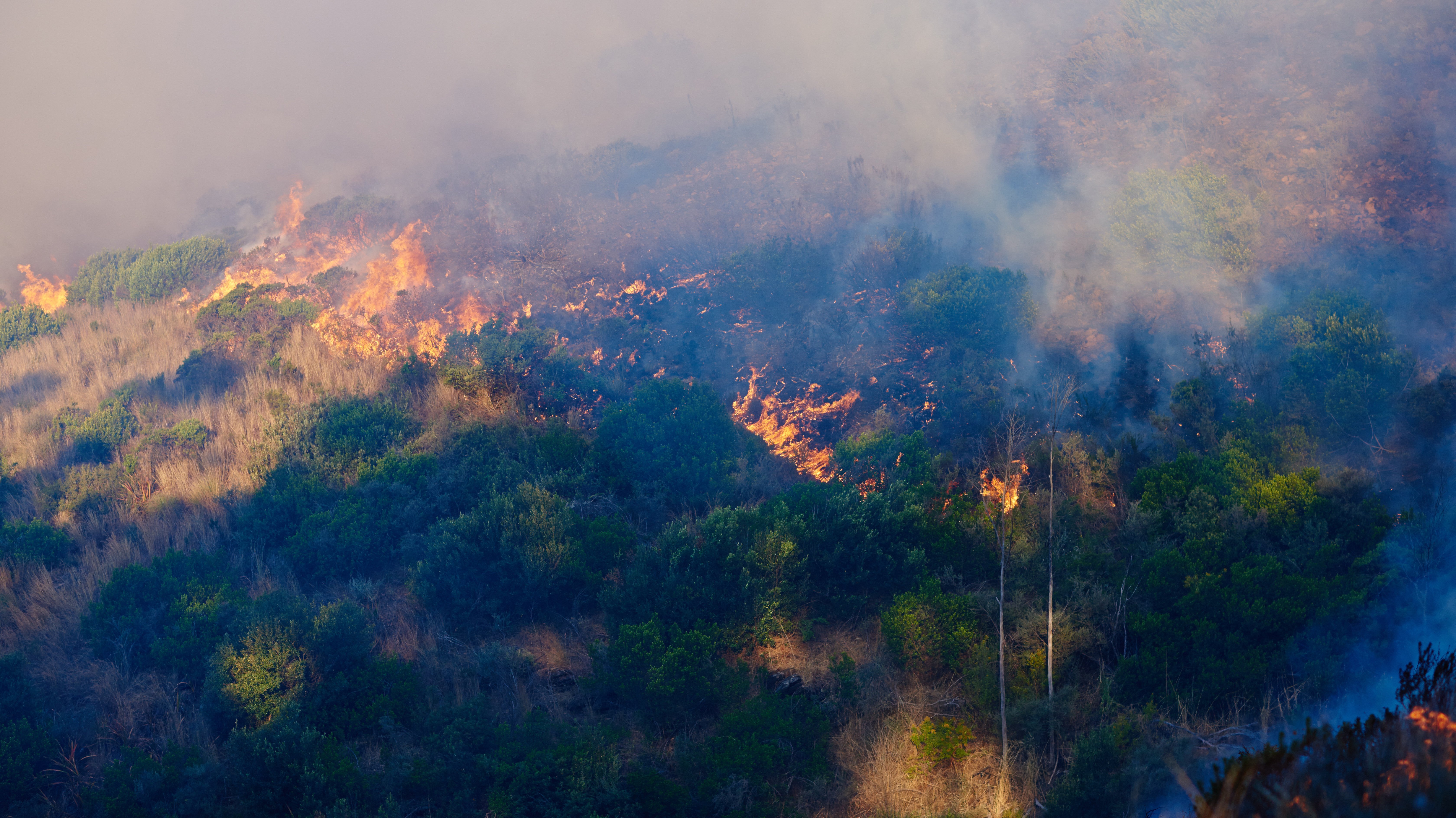 forest fire raging inferno shot of a wild fire burning