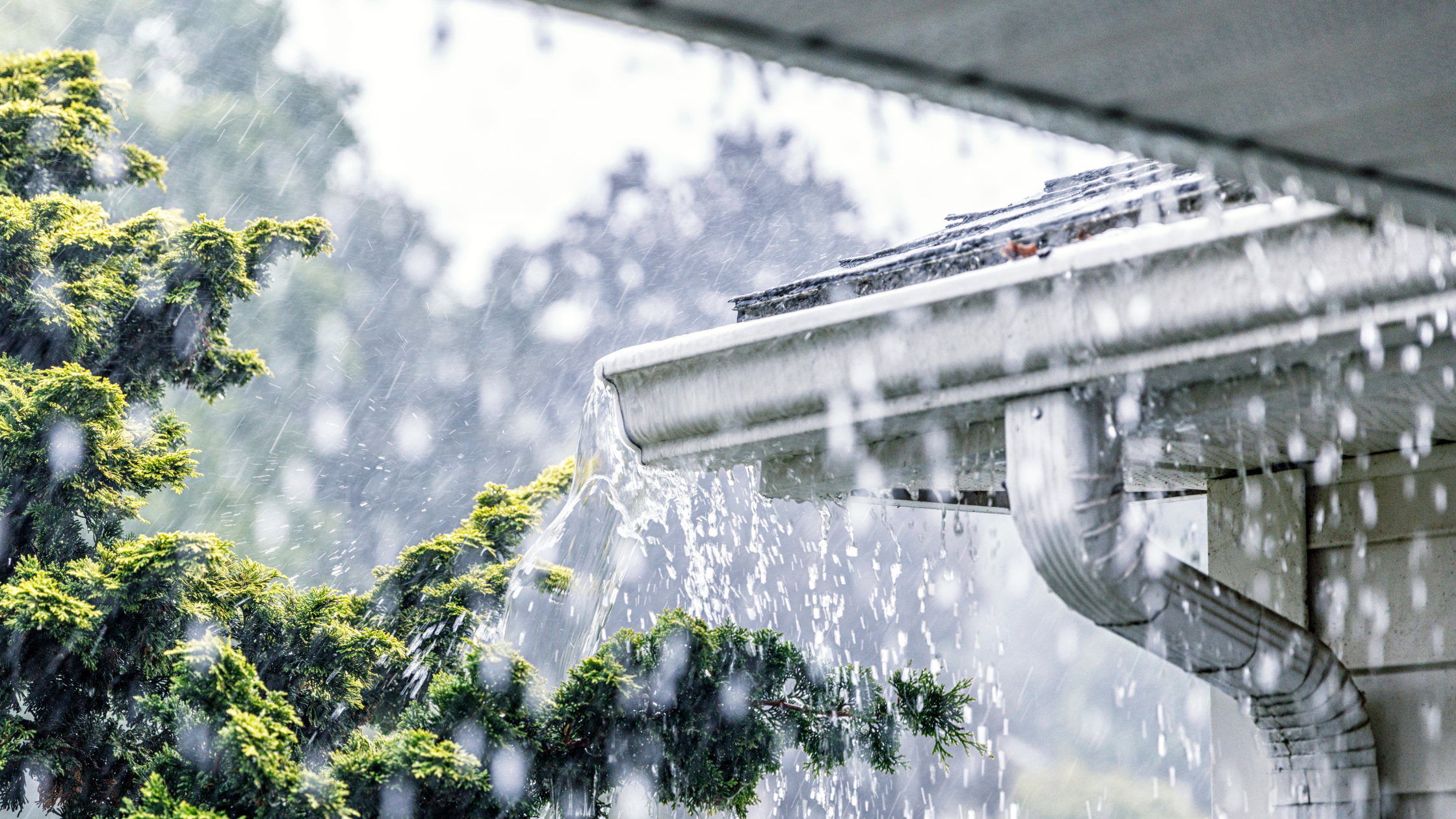 After the storm Insurance repair scams