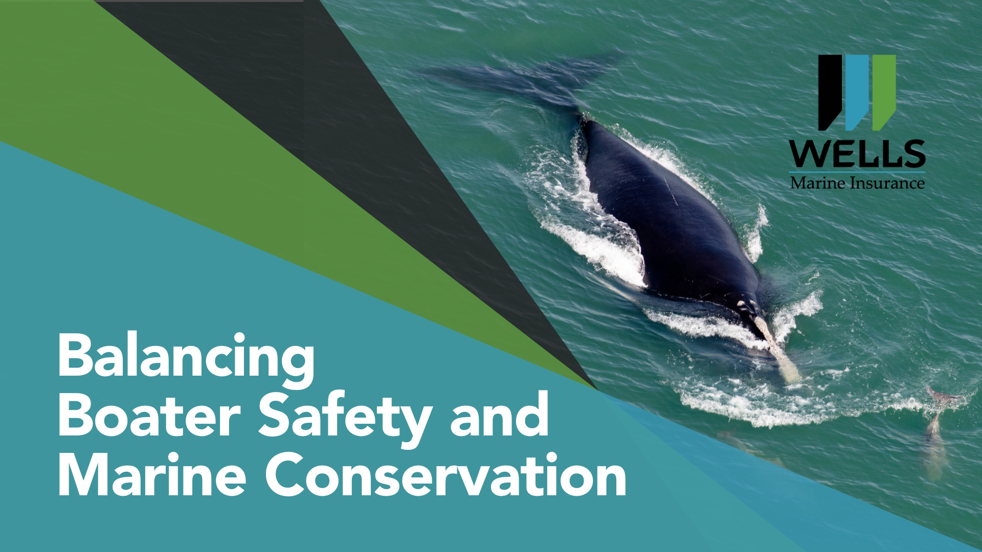 Balancing boater safety and marine conservation